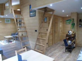 Confort 3 pièces rénové, balcon, proche remontées mécaniques, Wifi, animaux admis - FR-1-561-105 Modane